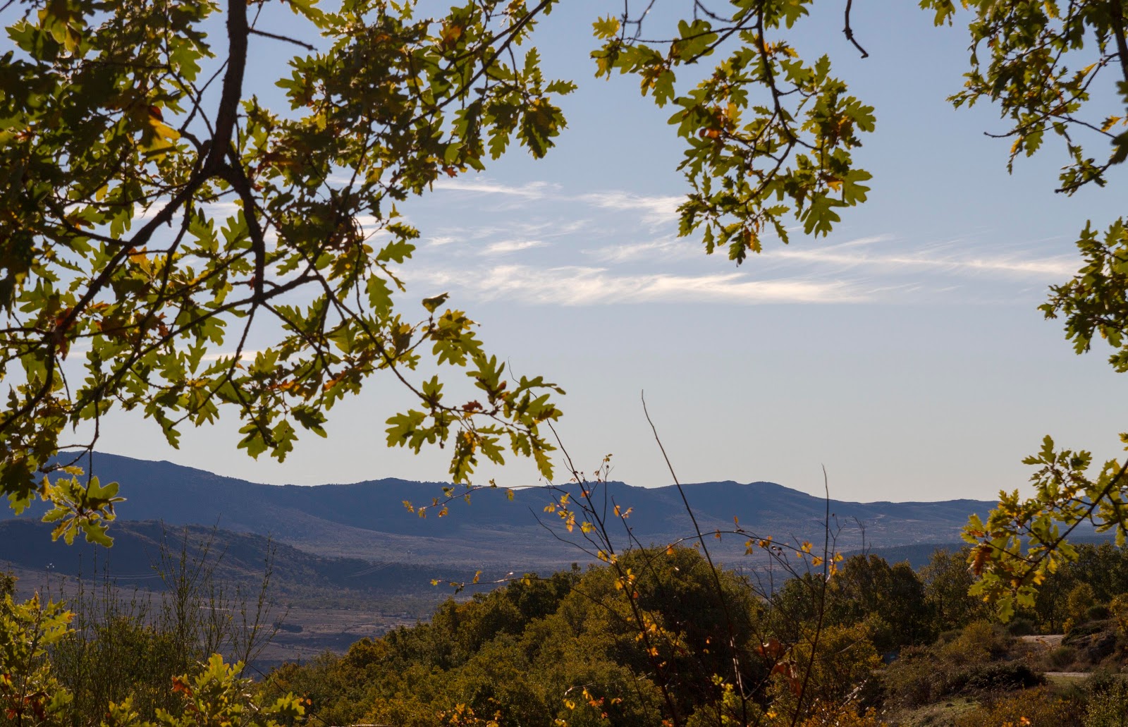 Salvemos el Mundo La Acebeda al Puerto de la Acebeda y de Peña Quemada