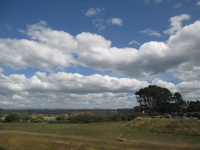 another View from Highway 101 South of Eureka, CA