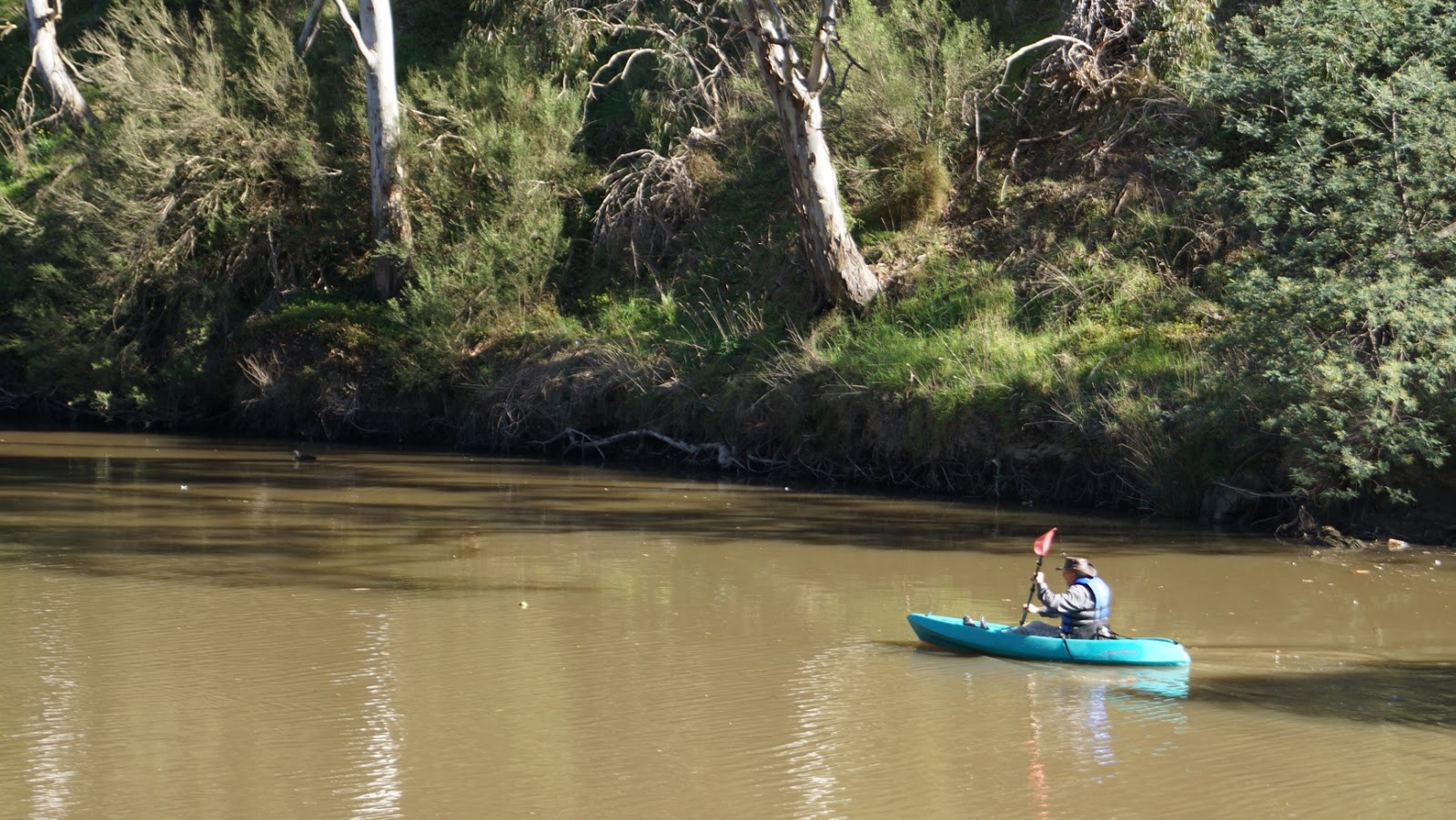MAP FISHING IN THE YARRA RIVER