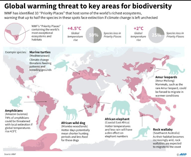 Global biodiversity 'crisis' to be assessed at major summit