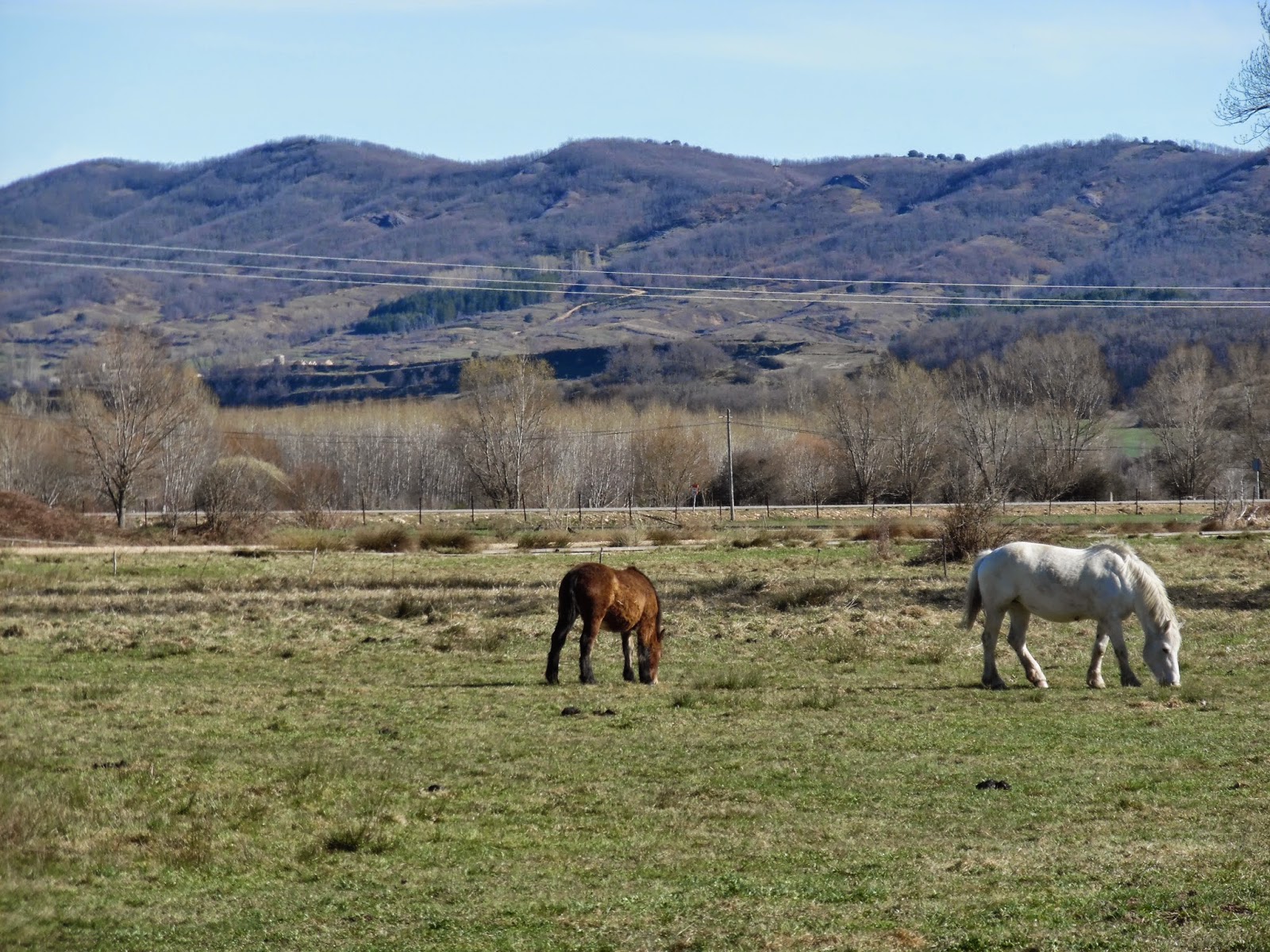 el maragato LA MIRADA DE OTROS