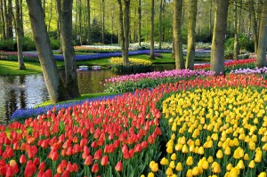 Keukenhof Gardens, Belanda