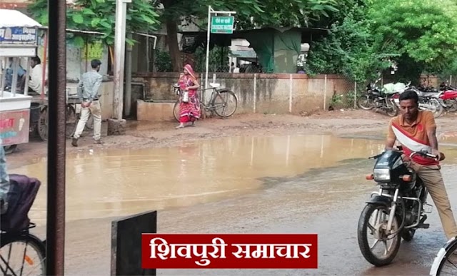 जगतपुर से स्टेशन तक बनाई गई नई नवेली सड़क बनी परेशानी का कारण, बारिश में भरा पानी | KOLARAS, SHIVPURI NEWS