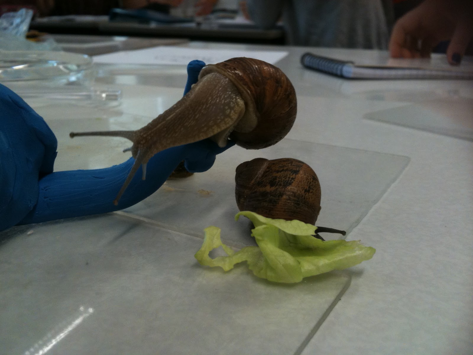 science-seminar-learning-to-observe