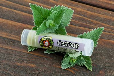 Catnip Lip Balm