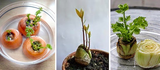 Великолепные идеи для детей на дачном участке.