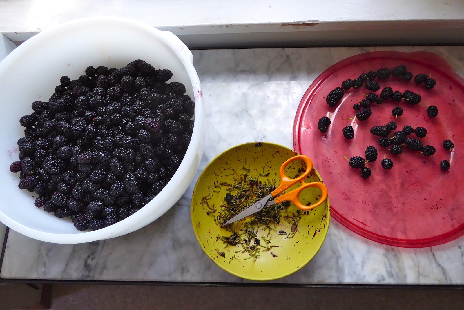 Susan Can Cook Mulberry and Lime Jam