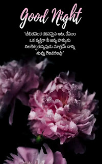 5 Amazing Good Night Quotes in Telugu-Telugu4fun