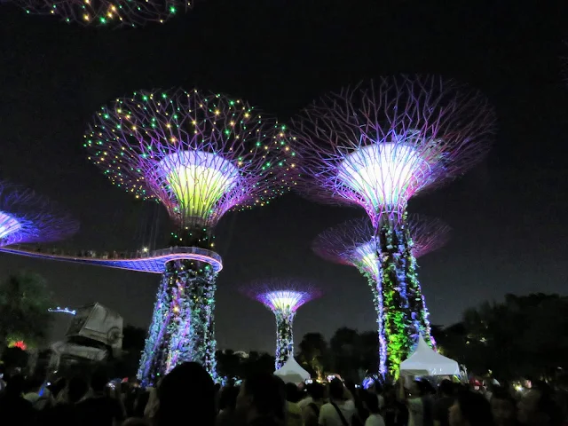 Supertrees at Gardens by the Bay lit up at night in Singapore