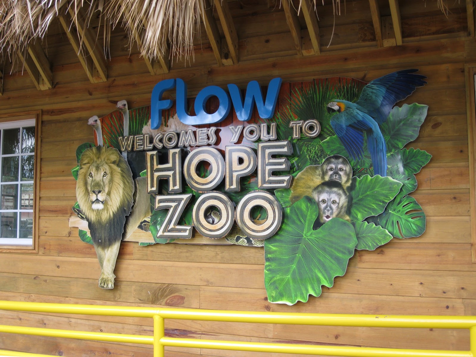 Writer Blog Harold Davidson Zebras at Hope Zoo