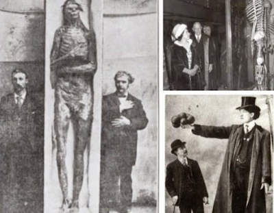 Το μυστήριο πίσω από τους 18 γιγάντιους σκελετούς που βρέθηκαν στο Ουισκόνσιν.  