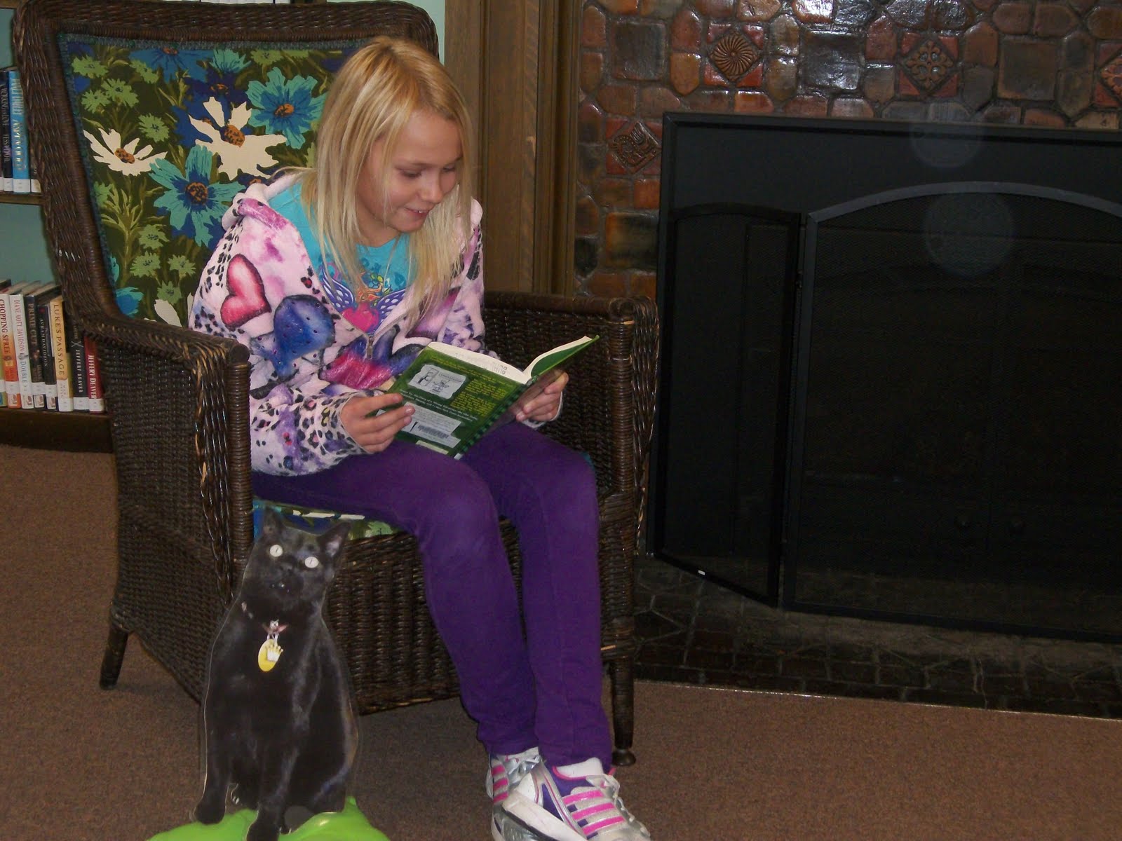 Browser the Library Cat My visit to the Buhl Public Library