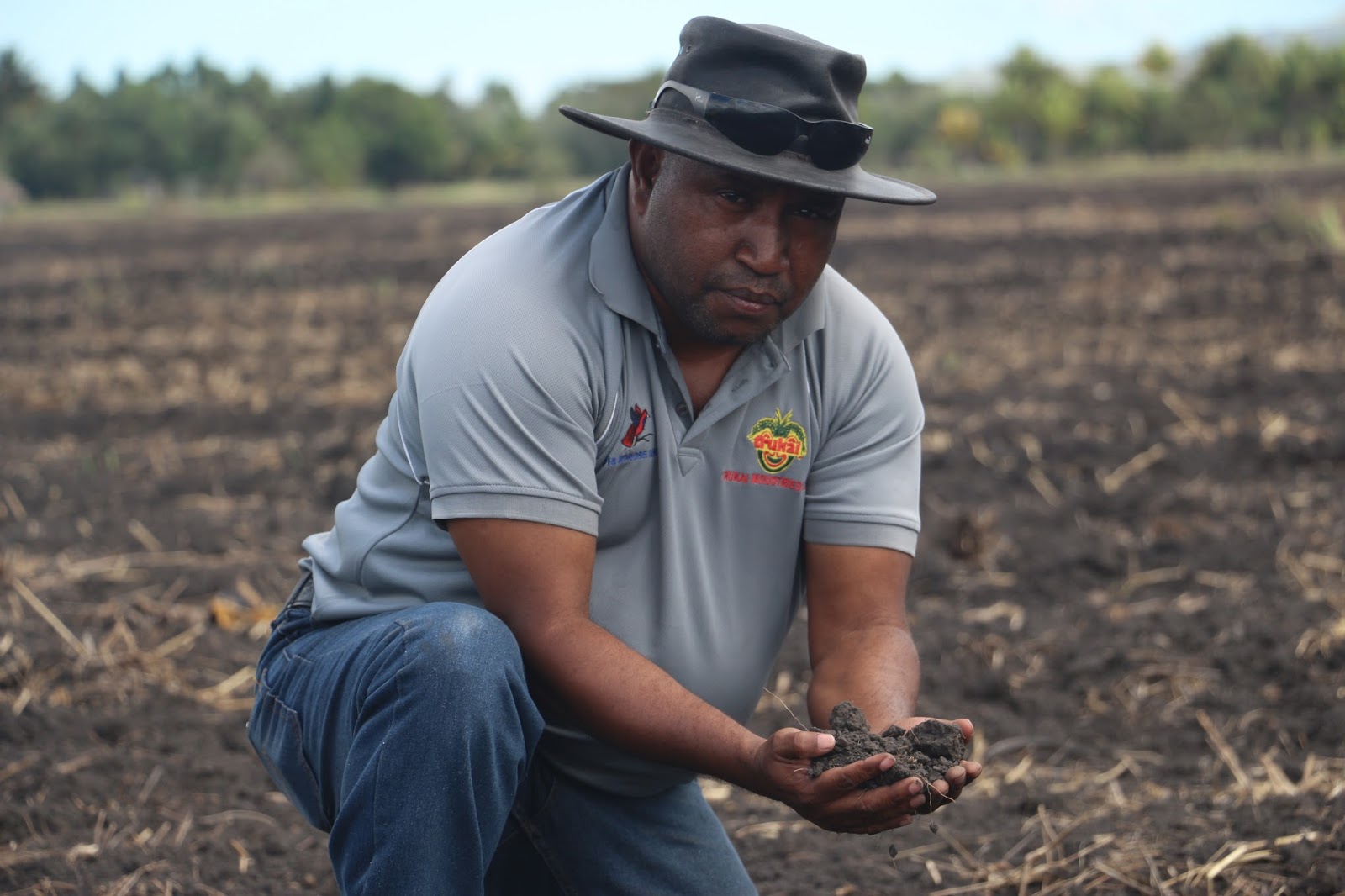 APEC, PNG agriculture sector growth to align,says rice expert Papua