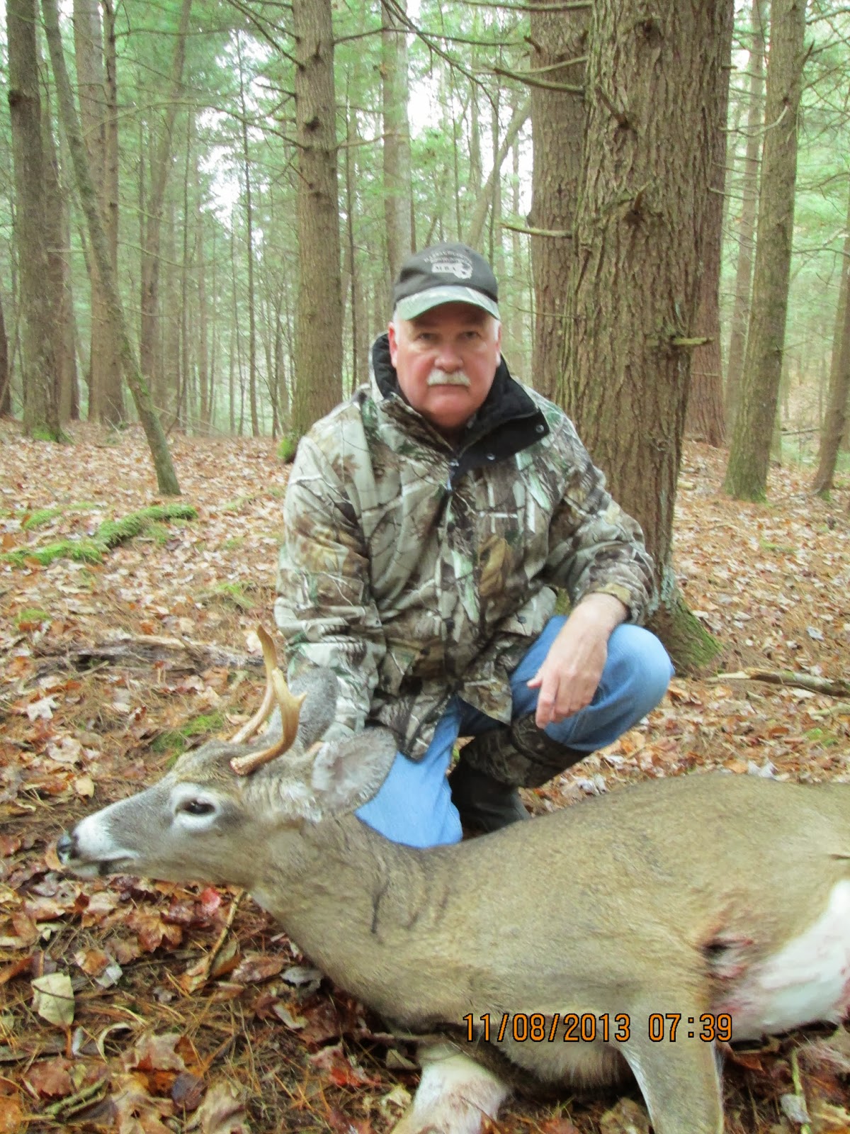 Massachusetts Deer Hunting November 2013