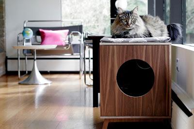 cat furniture modern