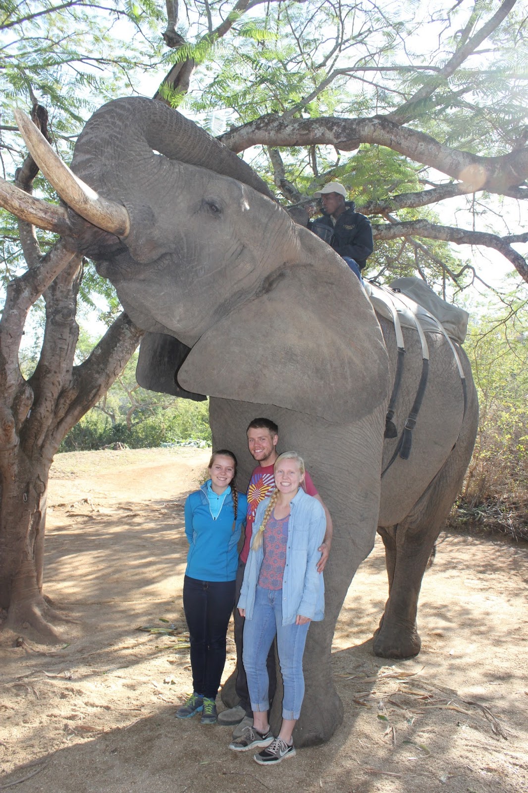 Studying Abroad in South Africa With Madison Heppe June 14 Horseback