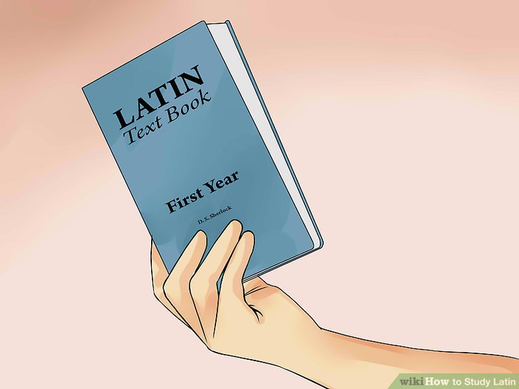 Efe Latin Website Nihilscio Wikihow Advice On How To Study Latin efe latin website nihilscio wikihow
