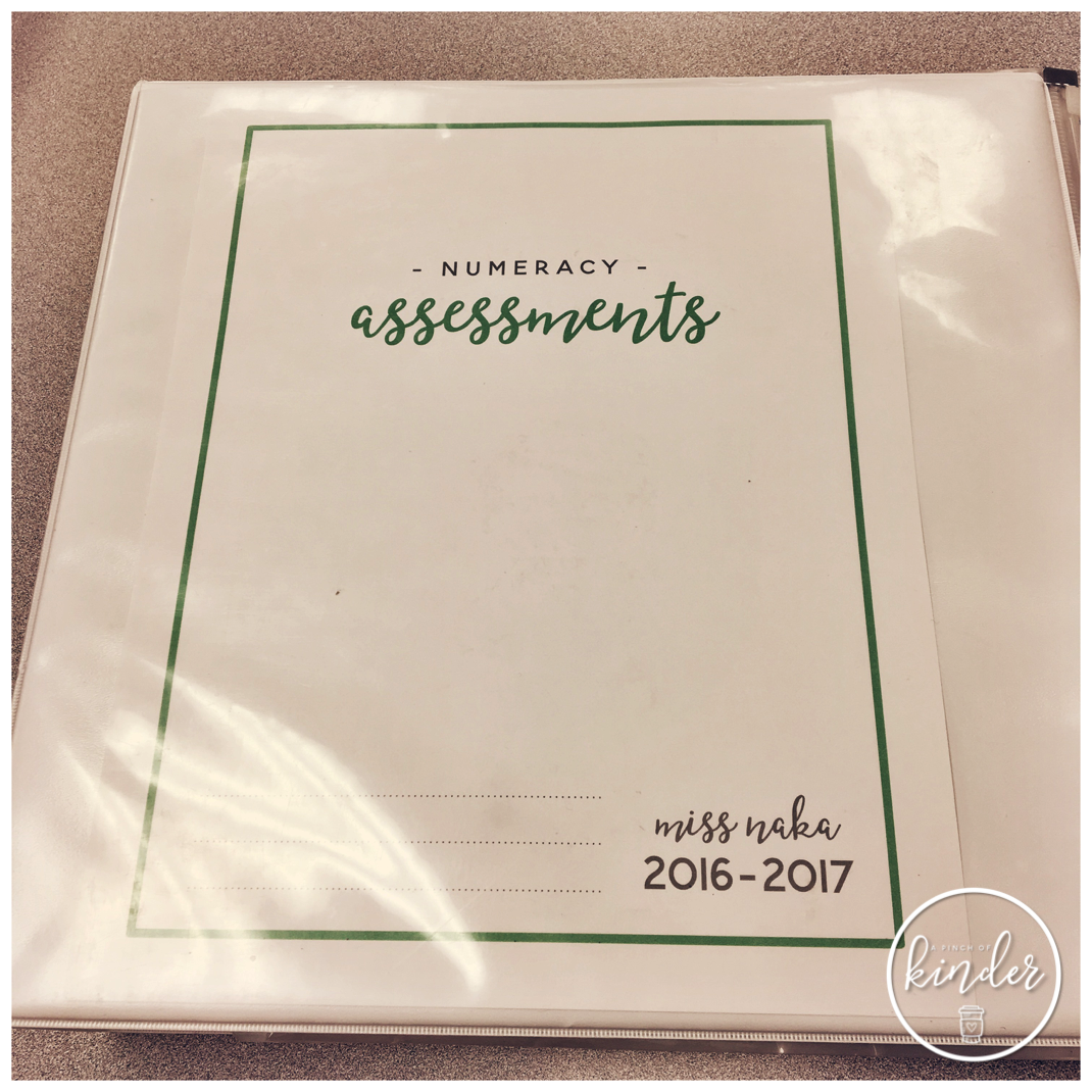 A Peek Inside Numeracy Assessments Binder A Pinch of Kinder