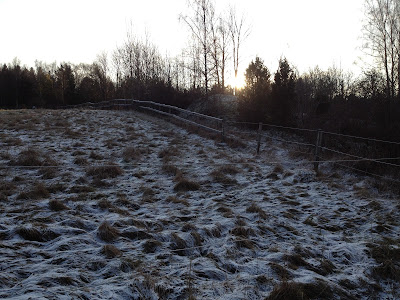 powerjogg+%25284%2529 - Powerjogg och försök till armhävningar