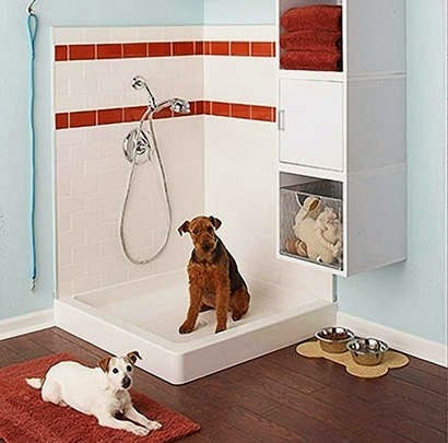 kamar mandi hewan peliharaan anjing dan kucing