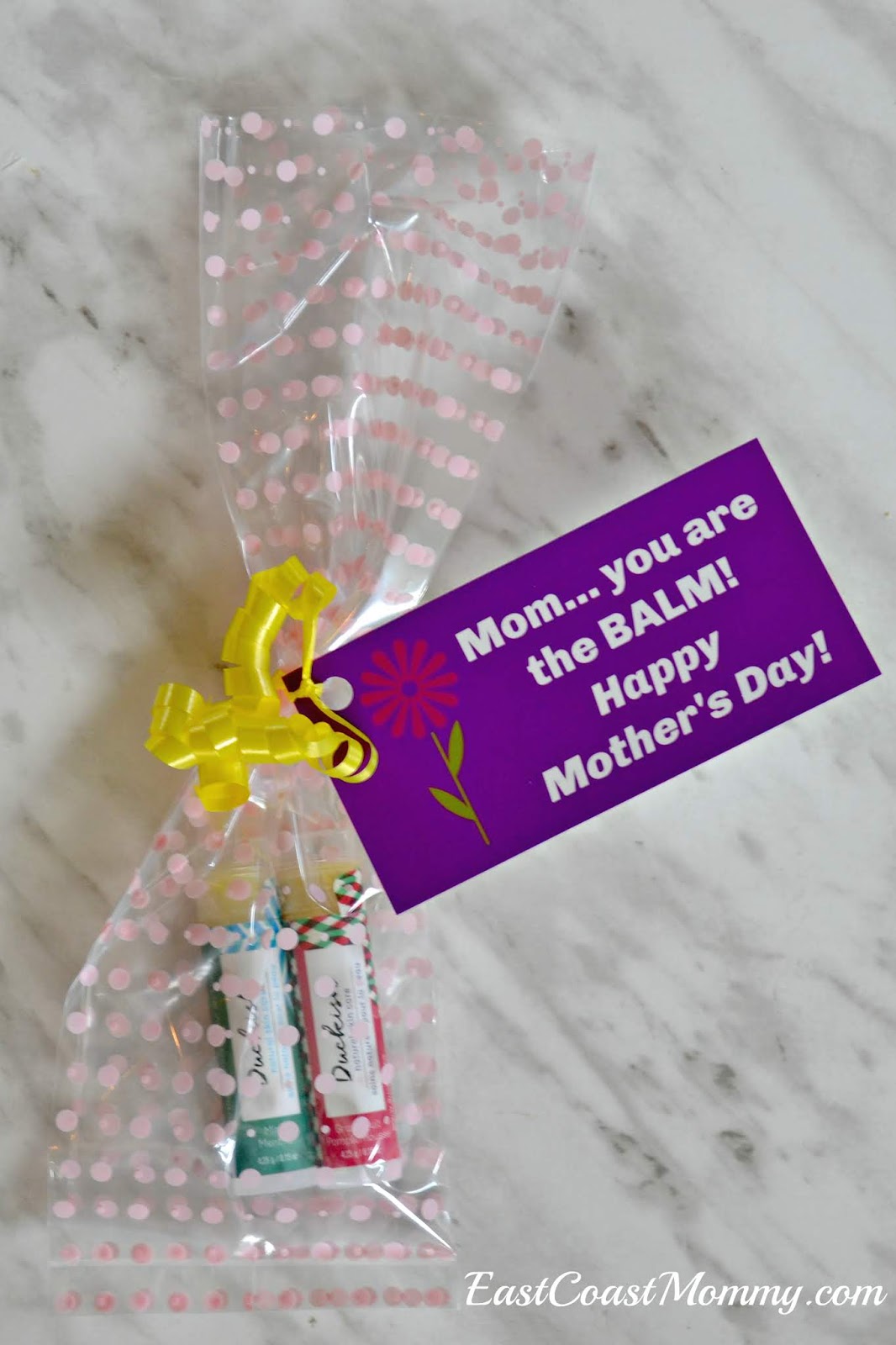 East Coast Mommy Mother's Day Gift (skin care products)... with free printable tags