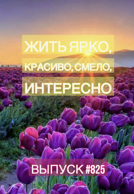 825. Жить ярко, красиво, смело, интересно!