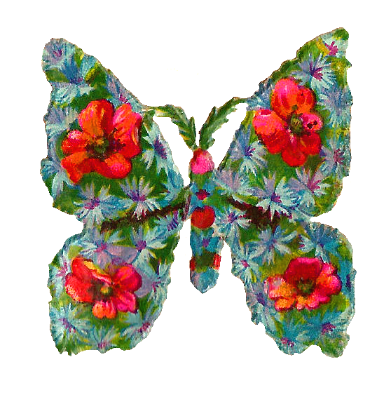 free red butterfly clip art - photo #39
