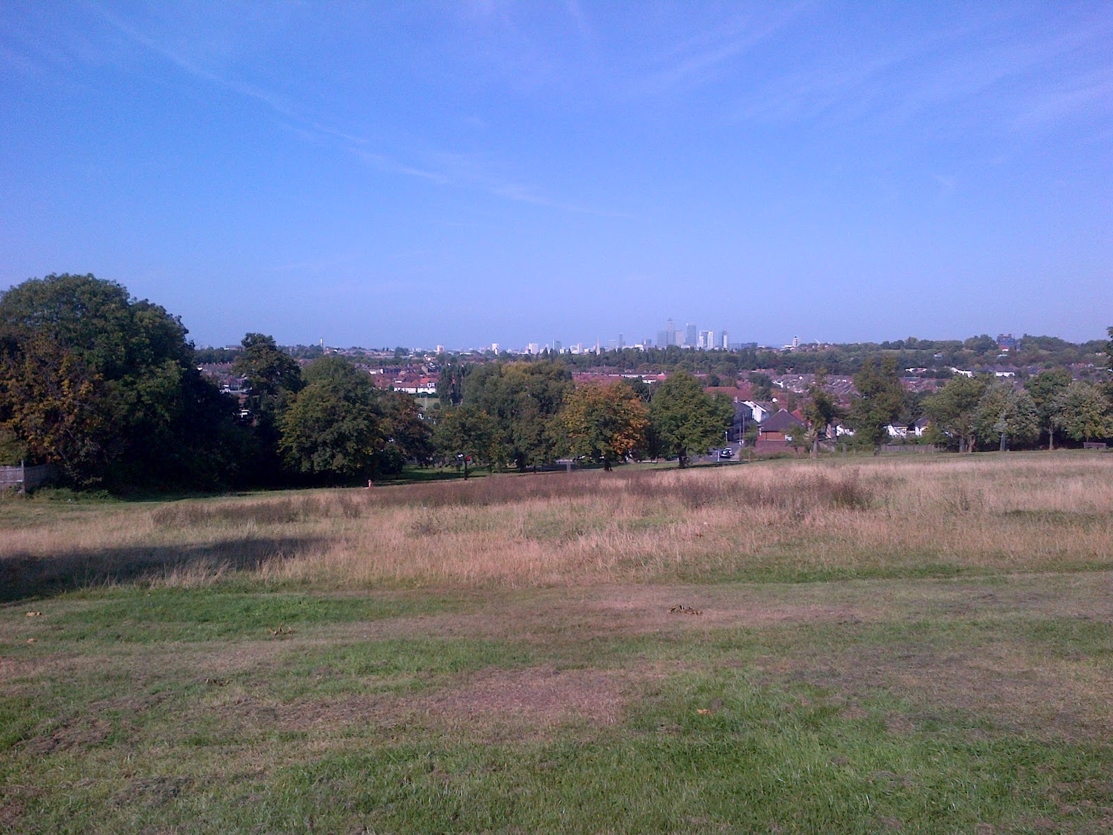 Brockley Central Greenspaces Blythe Hill Fields The online home for all things Brockley