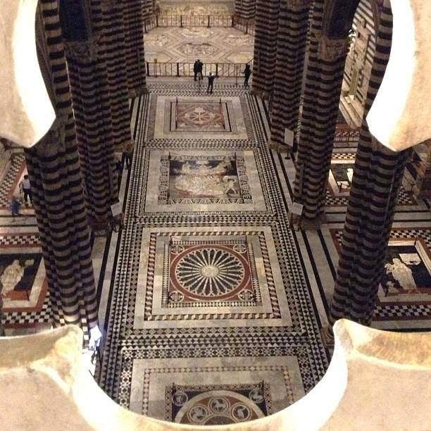 Siena, pavimento del Duomo