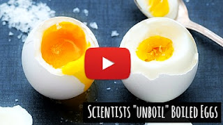 Watch Scientists find a way to Unboil boiled Eggs turning it into an example of reversible process via geniushowto.blogspot.com major science breakthrough videos