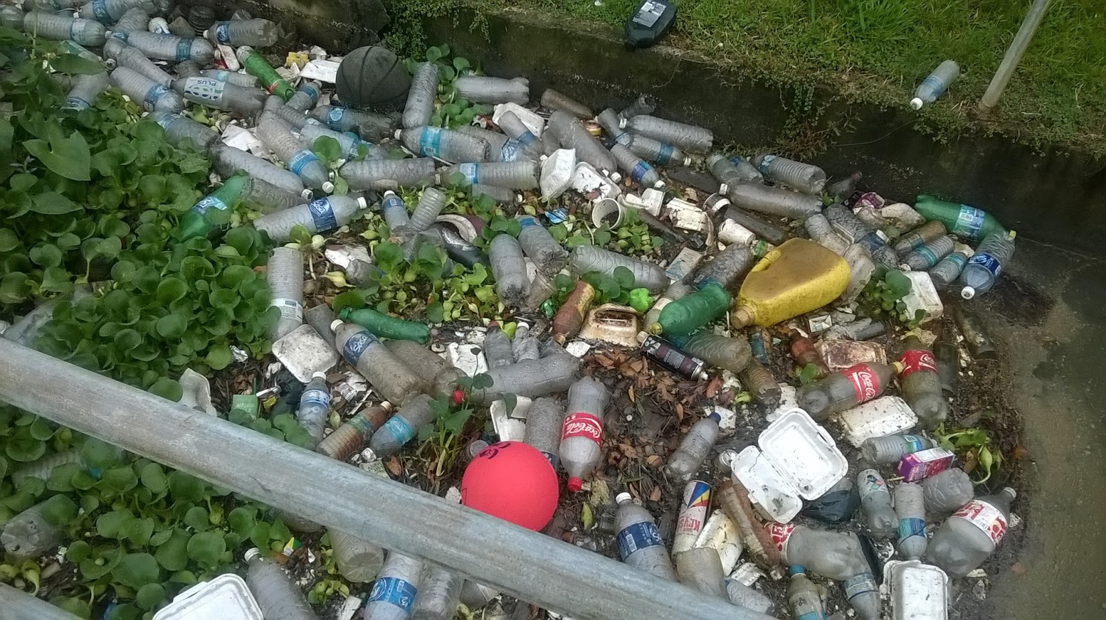 TRAVEL AND LEISURE IN BORNEO BORNEO How do we save our environment?