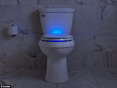 Kohler Glow In The Dark Toilet