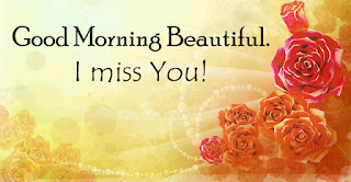 145 Hd Good Morning Images Pictures For Whatsapp Facebook