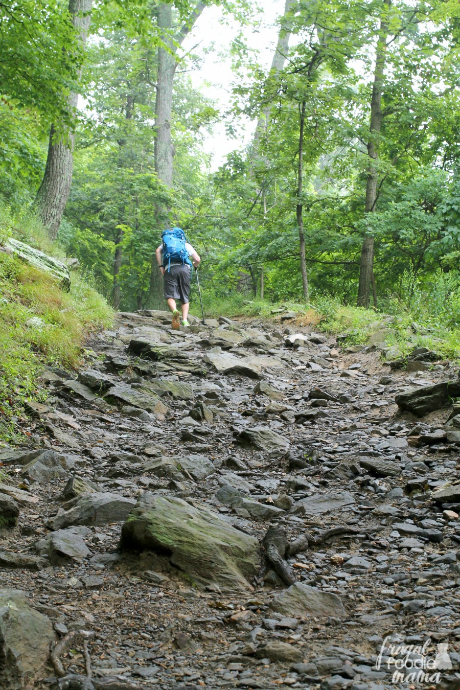 Frugal Foodie Mama Hiking the Maryland Heights Trail