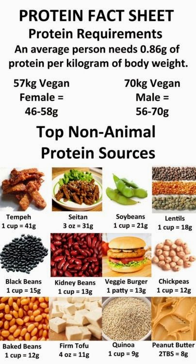 hover_share weight loss - protein fact sheet 