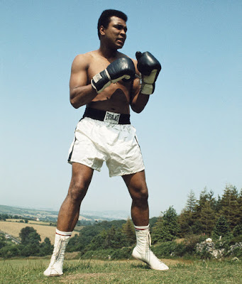 Biografi Muhammad Ali   Muhammad Ali dilahirkan dengan nama awal Cassius Marcellus Clay, Jr. Sosok yang dilahirkan pada 17 Januari 1942 silam di Louisville, Kentucky, Amerika Serikat yang terkenal dengan ayam goreng khasnya juga perbedaan etnis yang kental itu merupakan seorang mantan petinju professional keturunan Negro yang pada zamannya dianggap memiliki kedudukan dan martabat yang lebih rendah dibandingkan orang berkulit putih. Ayahnya bernama Cassius Marcellus Clay, Sr yang berprofesi sebagai pelukis papan nama dan reklame di pinggir jalan, sedangkan Ibunya yang bernama Odessa Grady Clay berprofesi sebagai pembantu rumah tangga. Ia memiliki seorang adik laki-laki bernama Rudolph Rudy Clay yang kemudian berganti nama menjadi Rahman Ali. Siapa yang menyangka bahwa kehilangan sepeda BMX baru miliknya pada tahun 1954 silam mengantarkan Ali kepada kancah pertijuan.   Semuanya berawal ketika Ali masih berusia 12 tahun. Sepeda yang baru saja dibelikan oleh orangtuanya raib diambil pencuri. Ali   biografi muhammad ali pasha biografi muhammad ali jinnah biografi muhammad ali hasyim biografi muhammad ali dalam bahasa inggris biografi muhammad ali ash shabuni biografi muhammad ali pasha pdf biografi muhammad ali bogra biografi muhammad ali shodiqin biografi muhammad ali syarief biografi muhammad ali hasyim sastrawan biografi muhammad ali 