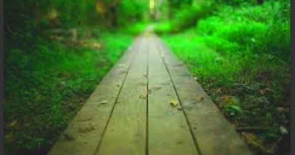 The Meaning Of The Verse Laa Ikraaha Fid Diin There Is No Compulsion To Enter Islam Yourdakwah
