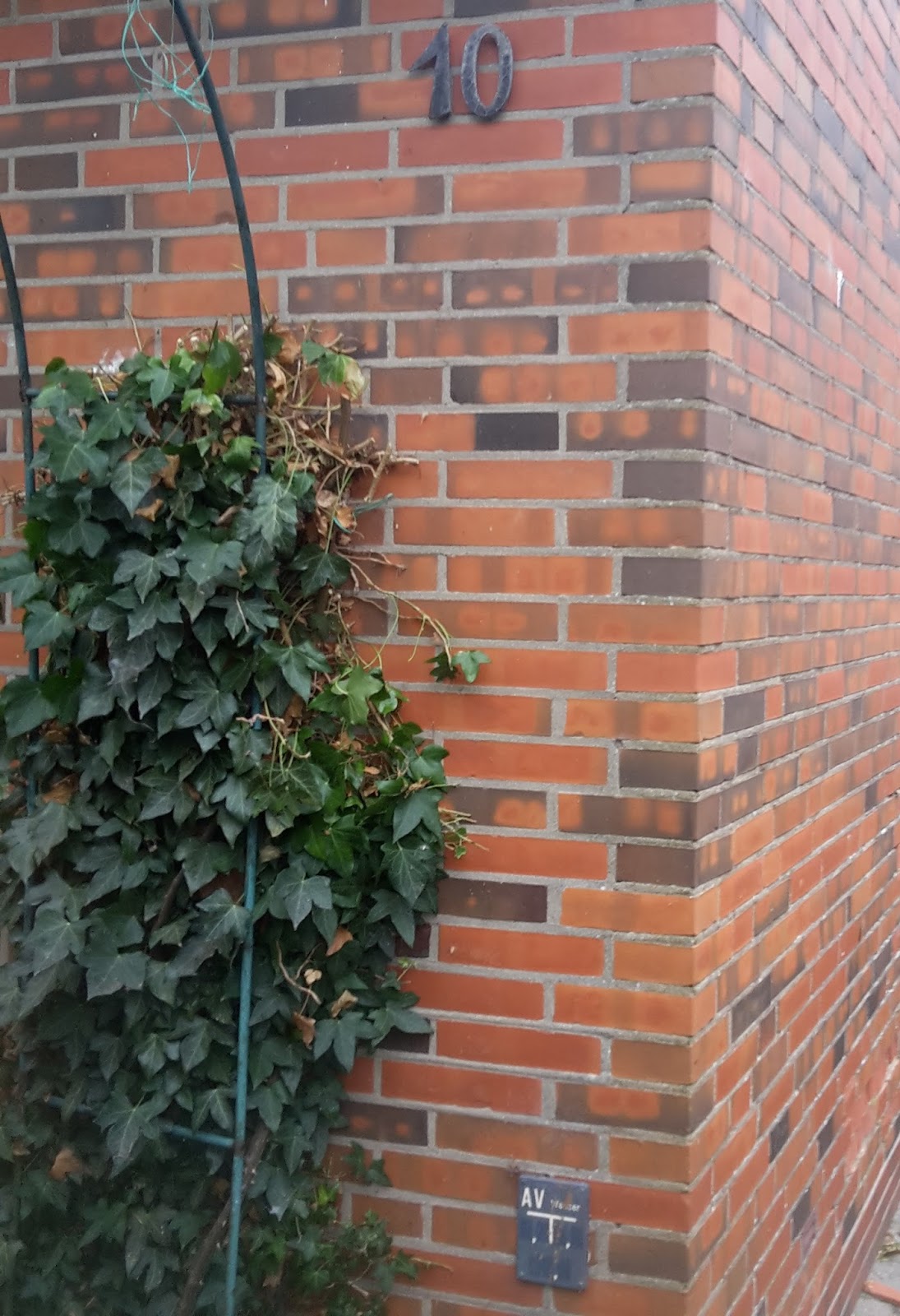 Am Wattenmeer Neue Ernte