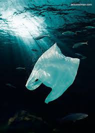 Contaminación de las aguas por bolsas plásticas