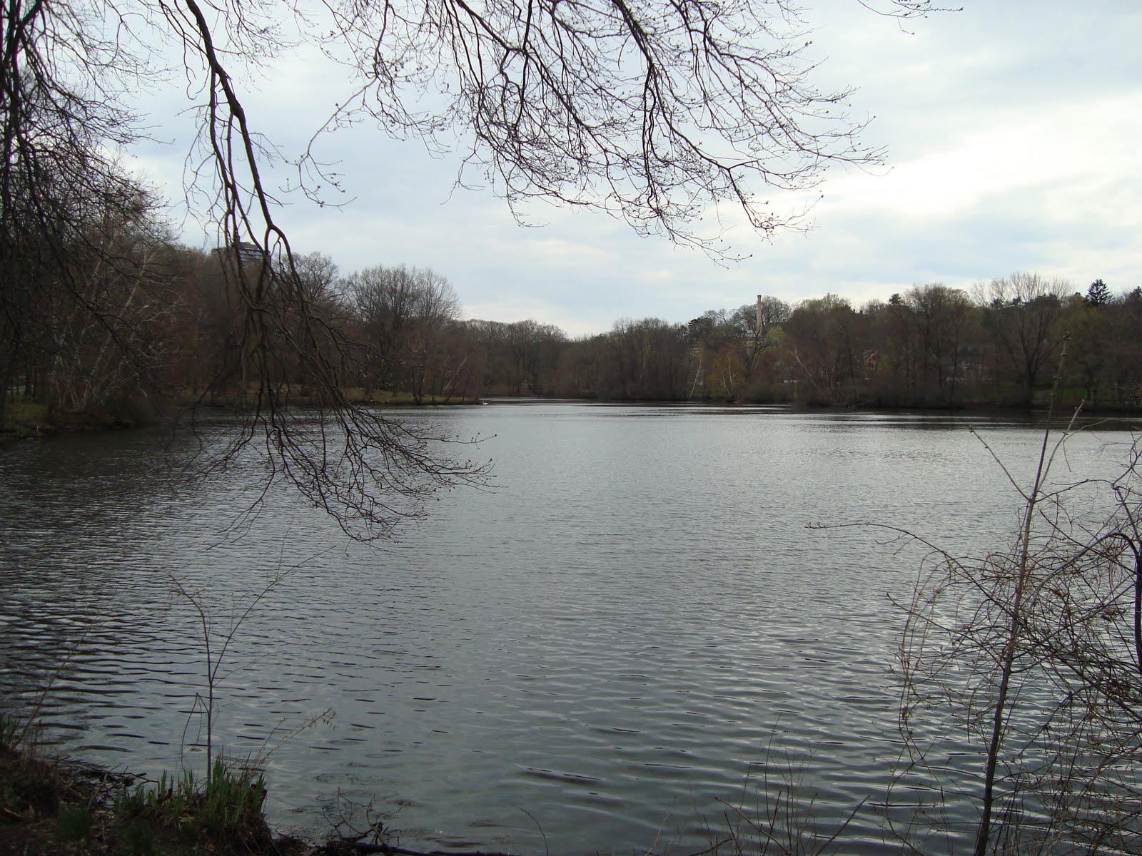 Trip to Boston Jamaica Pond