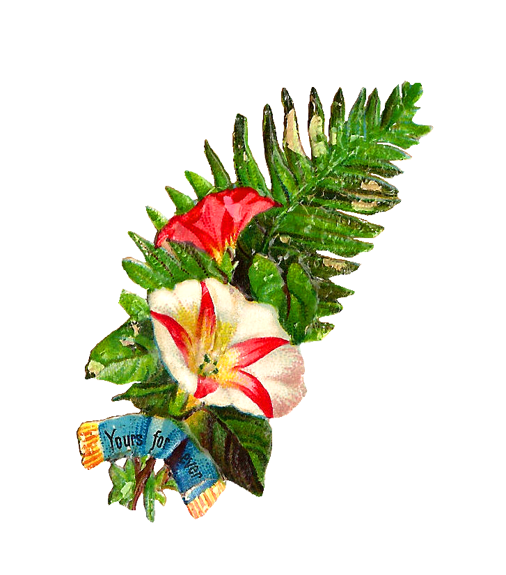 free clip art flower bouquet - photo #11