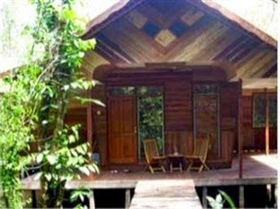 Harga Hotel Pangkalan Bun - Rimba Orangutan Eco Lodge