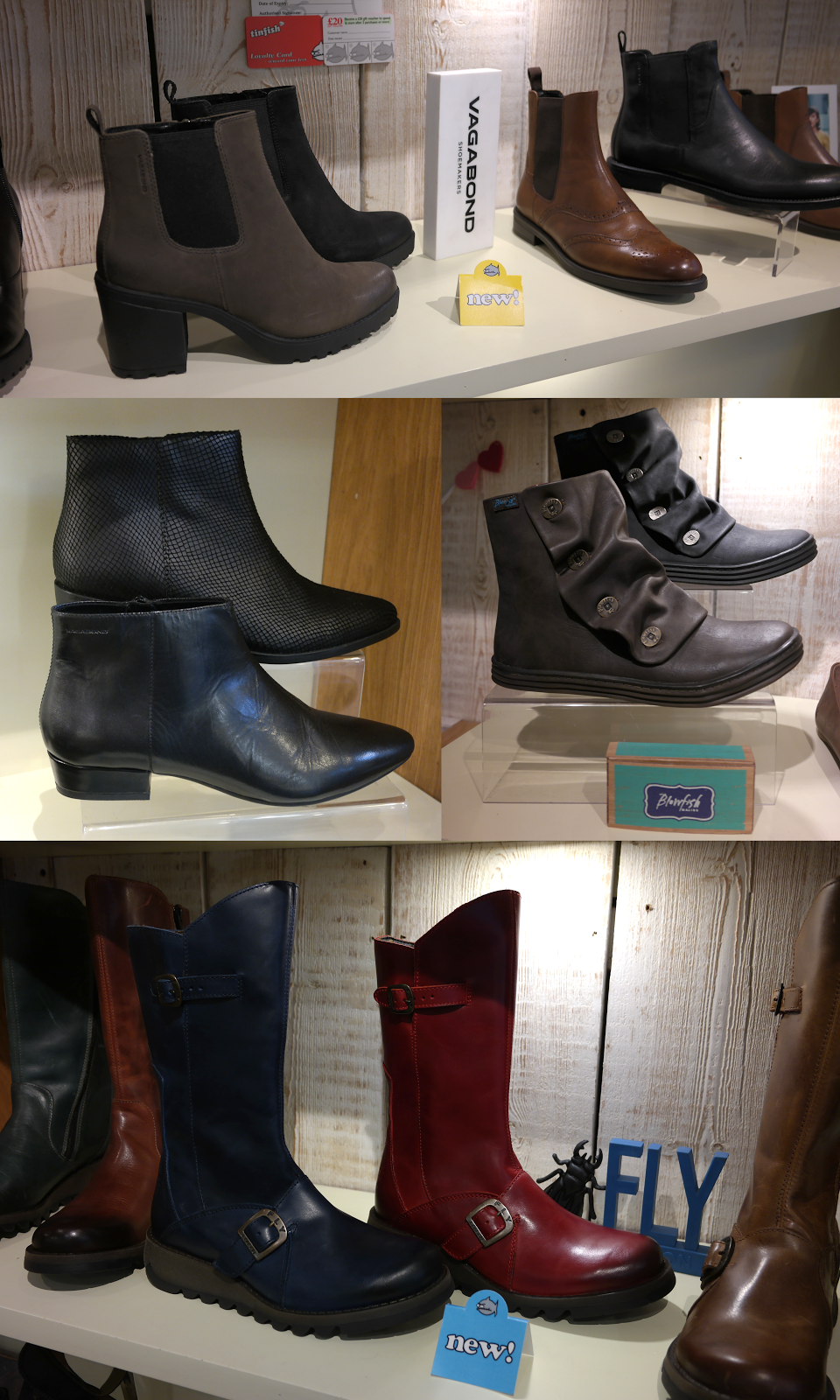 TINFISH SHOES, LEICESTER Nancy WhittingtonCoates