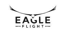 eagle flight vr fly jam soar comes platforms wanted kind ever space