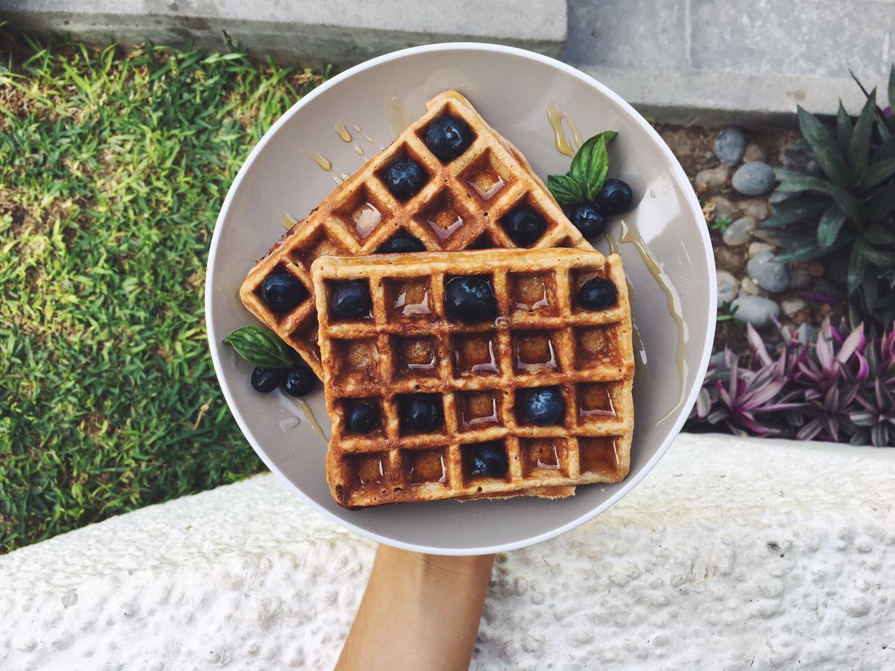 Two Sides Waffles de Avena y Proteína