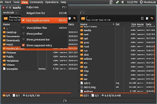 Insatall SunFlower Twin-Panel File Manager Ubtuk Ubuntu 13.04/12.10/12.04/Linux Mint/other