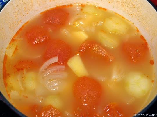 Tomate, patata, pepino y cebolla cocidos HortoGourmet