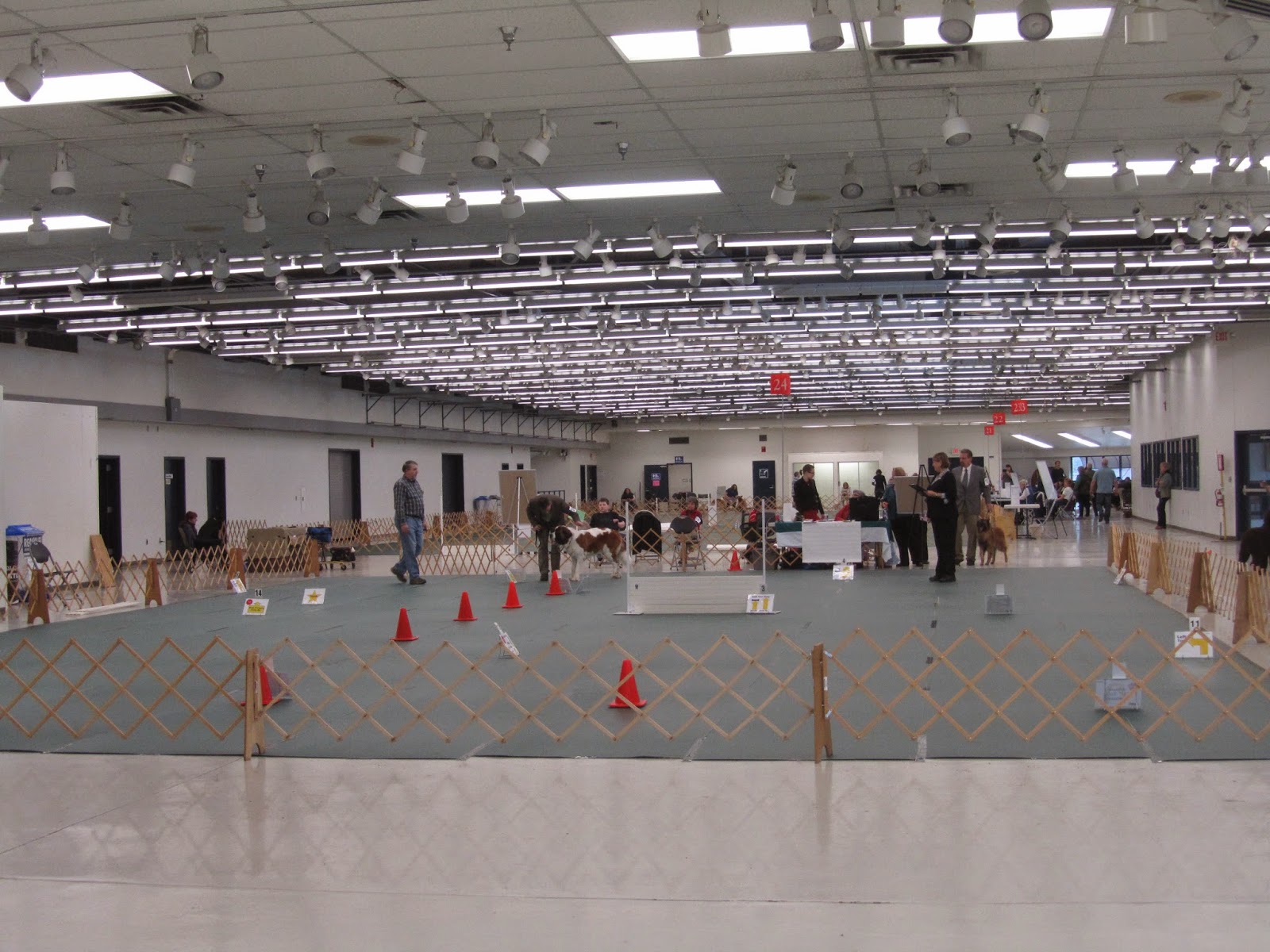 The Quilting Doberman 2015 Puyallup Dog Show Cluster in which I "NQ