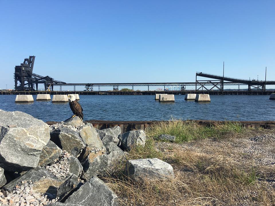 Industrial History NS/N&W Pier 6 is still operational at Lambert's