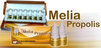 MELIA PROPOLIS MELIA PROPOLIS
